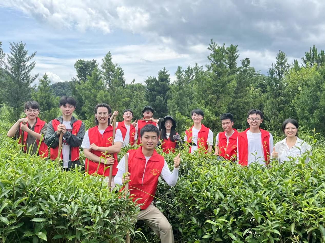 Practice team in tea fields