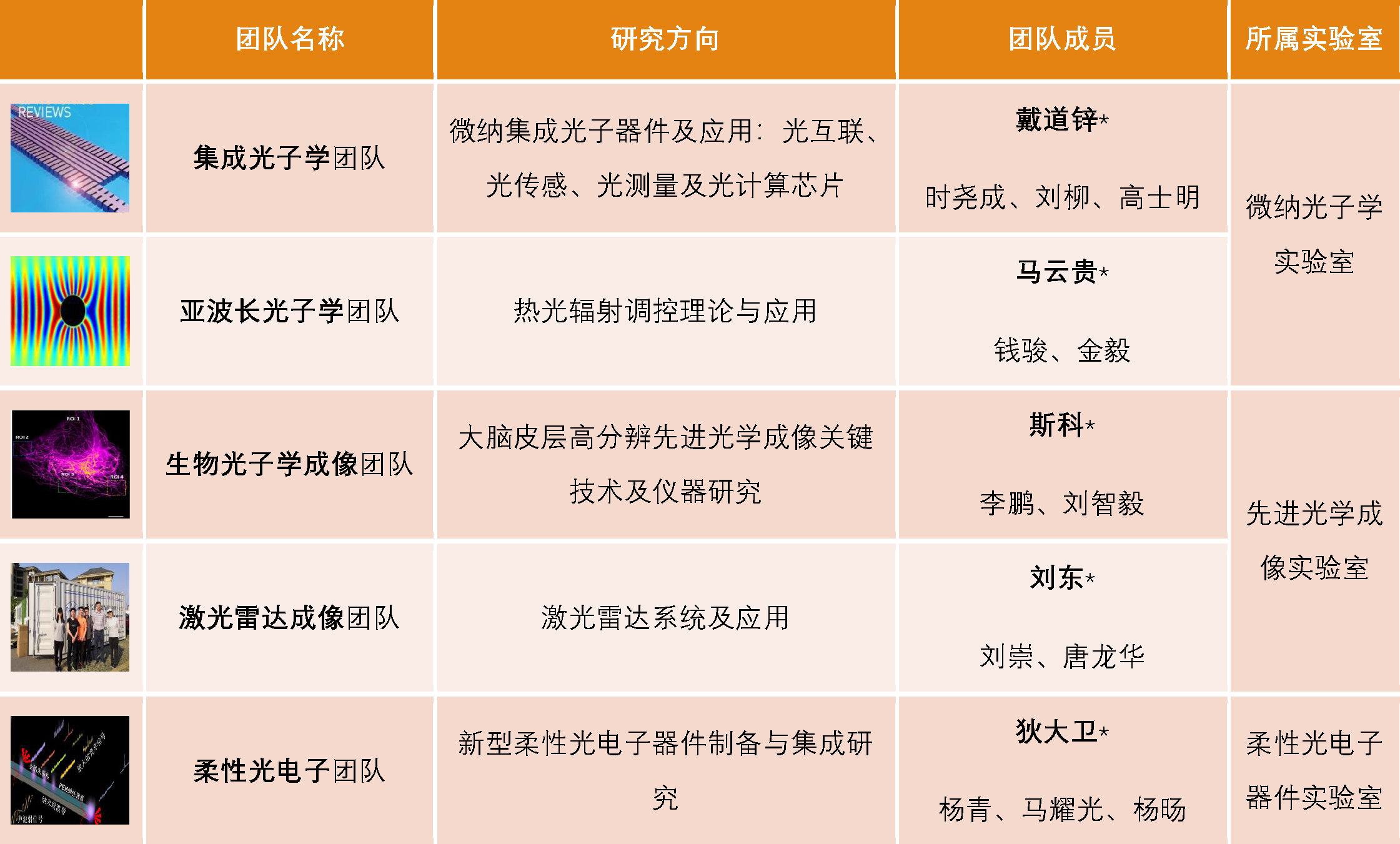 团队