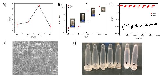 图1：对DDH水凝胶的表征